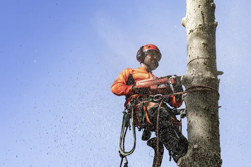 Husqvarna 550 XP® Mark II Gas Chainsaw - Holland, MI - Taylor True