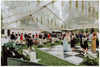 JumbotracLite Clear Top Frame Tent - 30 ft. Wide