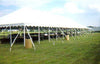 40 ft. x 180 ft. White Elite Rope Tent