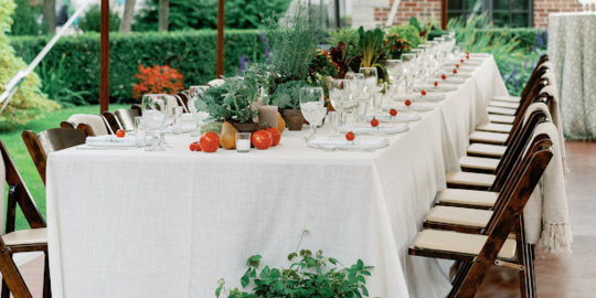 The long view of an engagement party table set up featuring pots of herbs as centerpieces for TTVR of Holland, MI