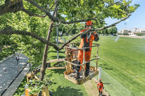 Husqvarna T435 Gas Chainsaw